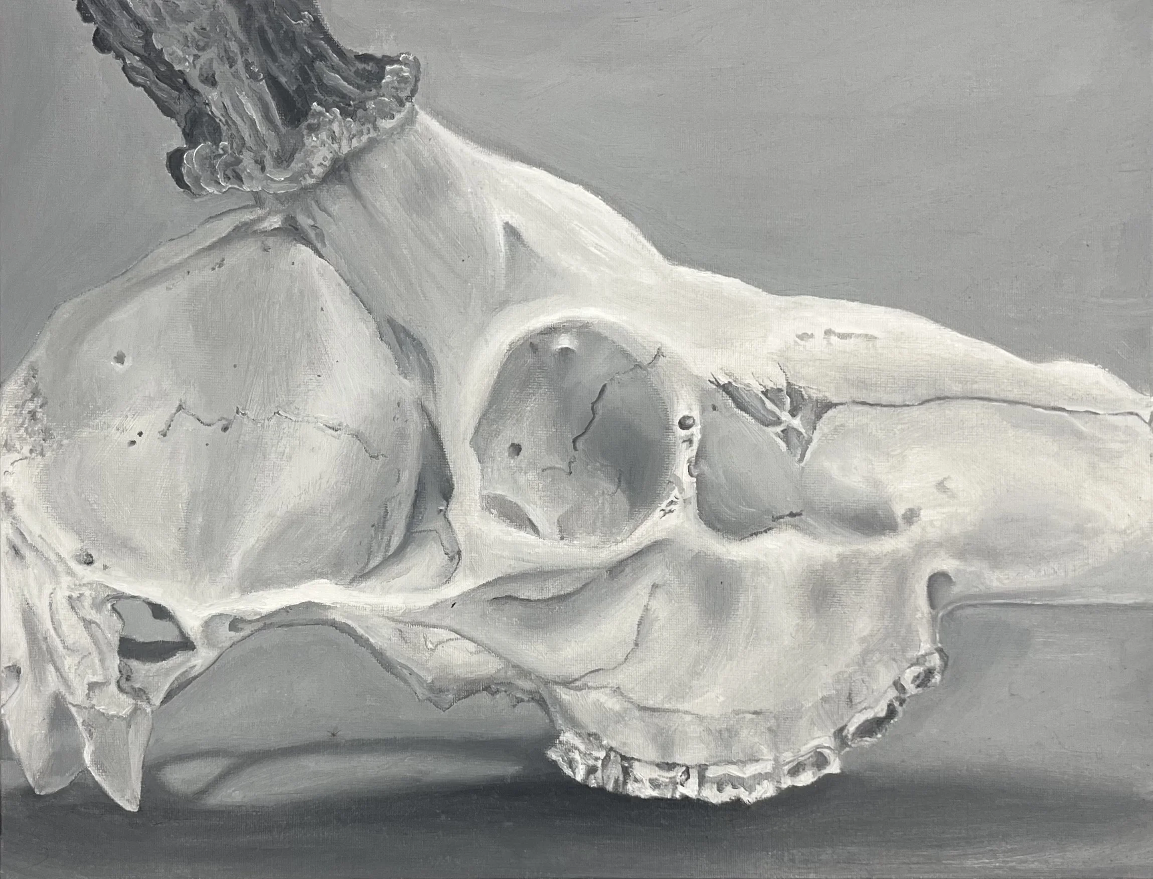 Wild Remains