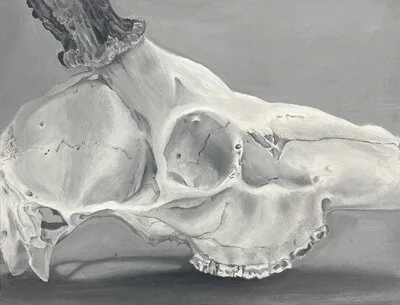 Wild Remains